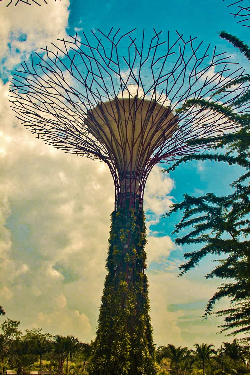 ThilanWijegunar's tweet photo. #Wanderlust #WanderlustXL #OurWorld #ThilanW

RT WanderlustXL: RT @dewanderersoul: #gardensbythebay #singapore #supergroove #dewanderersoul #travelmemories #travelrepost #wanderlustXL #DWSPhotography #traveltribe #travelphotography #traveldestinations @t… https://t.co/Gpf8SKQo2S