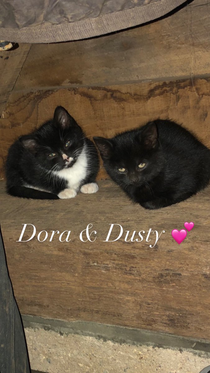 Two new members of the family 💕💕