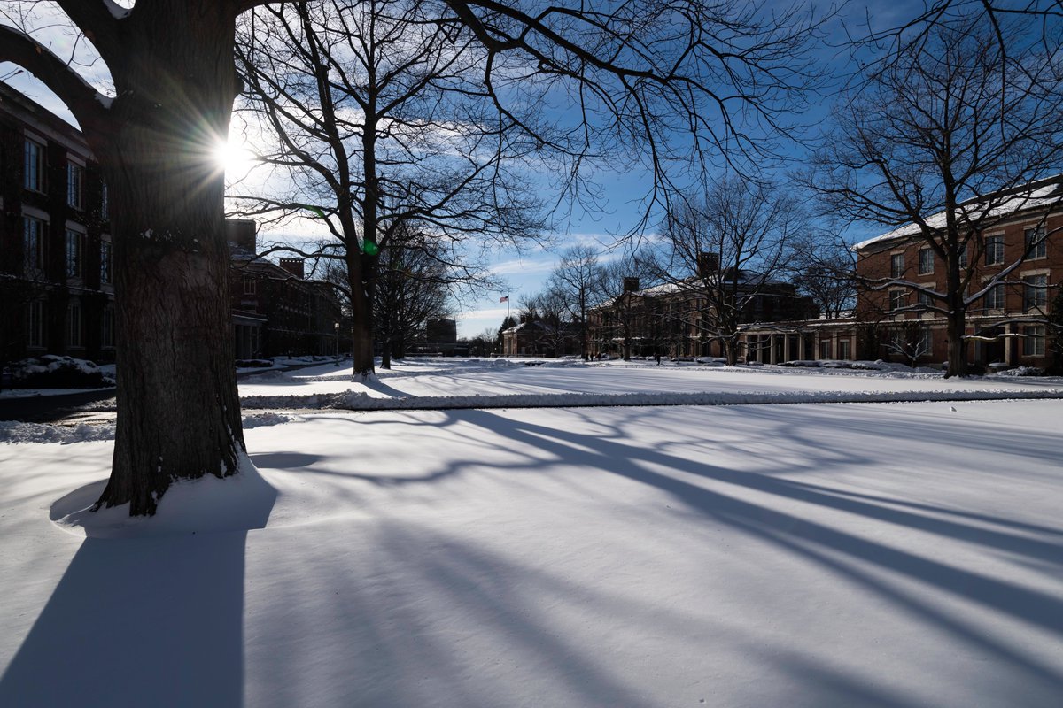 Happy Friday, Rochester. ❄️☀️