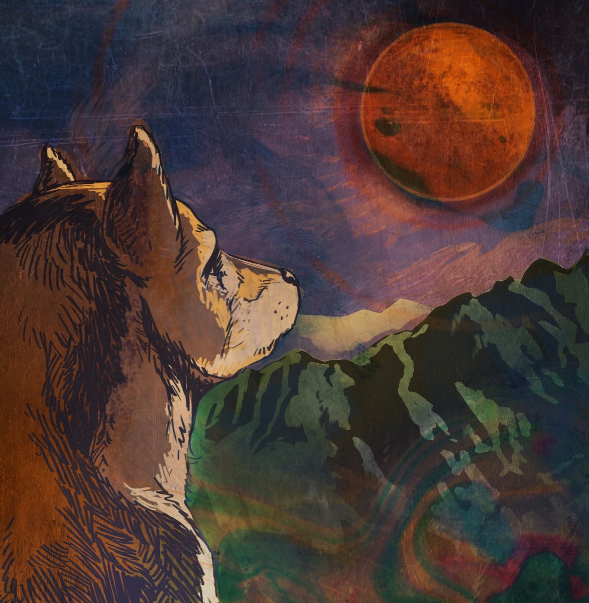 gloomy june tweet media