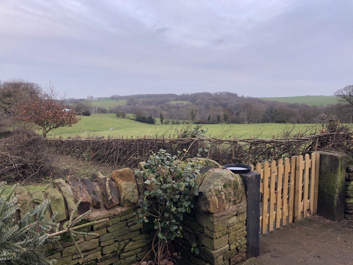 SWhitcher79's tweet photo. Hedgelaying, a good way to get control of an over managed hedgerow. #hedgelaying #hedge #overmanaged #biodiversity #boundary #garden https://t.co/mLqOHz9vm6