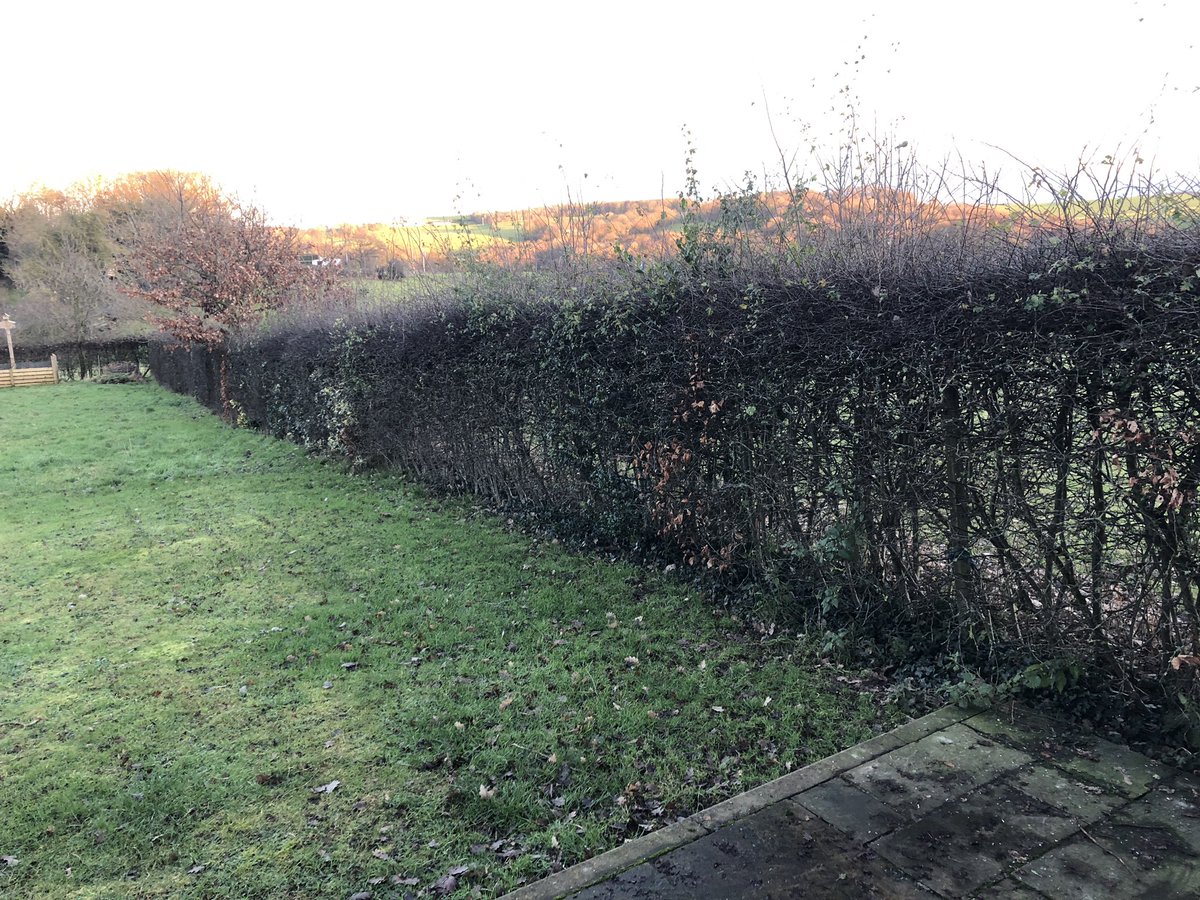 SWhitcher79's tweet photo. Hedgelaying, a good way to get control of an over managed hedgerow. #hedgelaying #hedge #overmanaged #biodiversity #boundary #garden https://t.co/mLqOHz9vm6