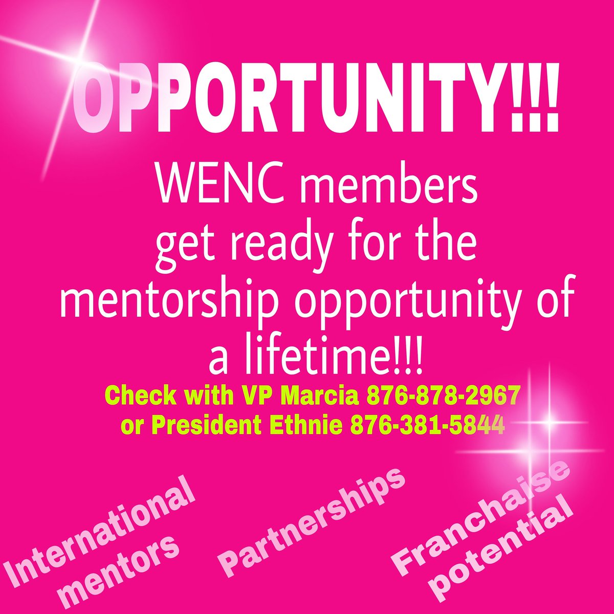 WENCaribbean's tweet image. Ladies seize every moment to grow you and your business. Check this out!! @WENCaribbean