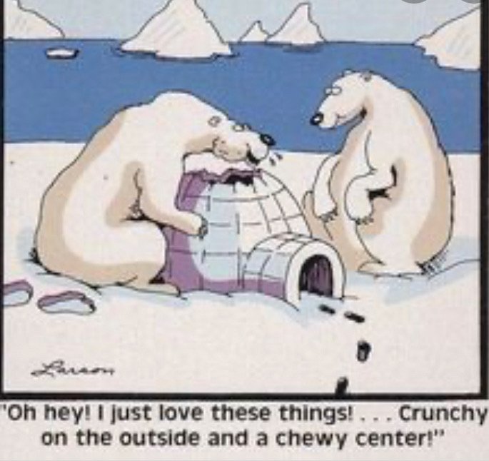 Thankfully we don't have Polar Bears in New Jersey...