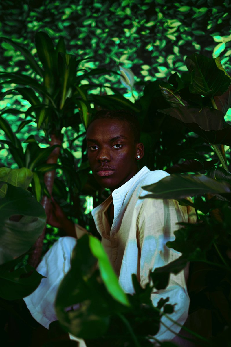 Green: Serenity. A sense of calm during the chaos