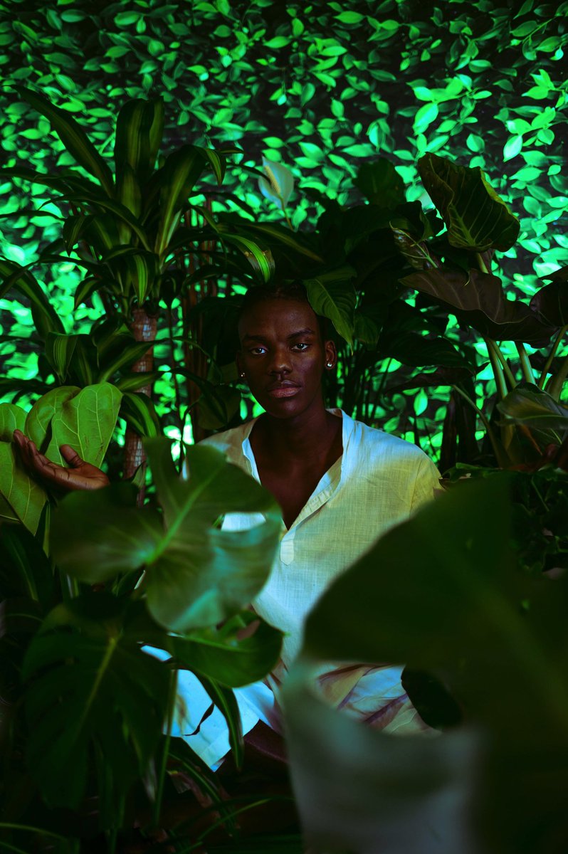 Green: Serenity. A sense of calm during the chaos