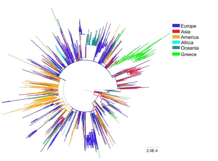 BSRC_Fleming's tweet photo. 📢A new collaborative work involving Greek #SARSCoV2 genome sequencing and assembly is now available online @pMedGR @BSRC_Fleming @g_pavlopoulos @pmoulos #Hatzis #Labs 
 https://t.co/R3USlg2o3m https://t.co/XRwnb5pFhM