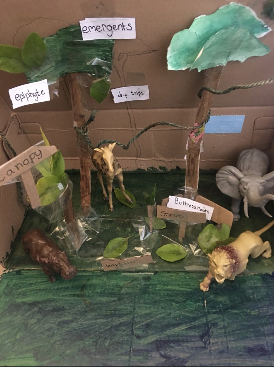 AmpleforthColl's tweet photo. Excellent work from our Year 7 Geography students, who have been applying their understanding of tropical rainforests to handmade 3D models – a great way to reduce screen time! #eAmpleforth #distancedbutnotapart #geographyathome #tropicalrainforests https://t.co/W7k7CC08hM