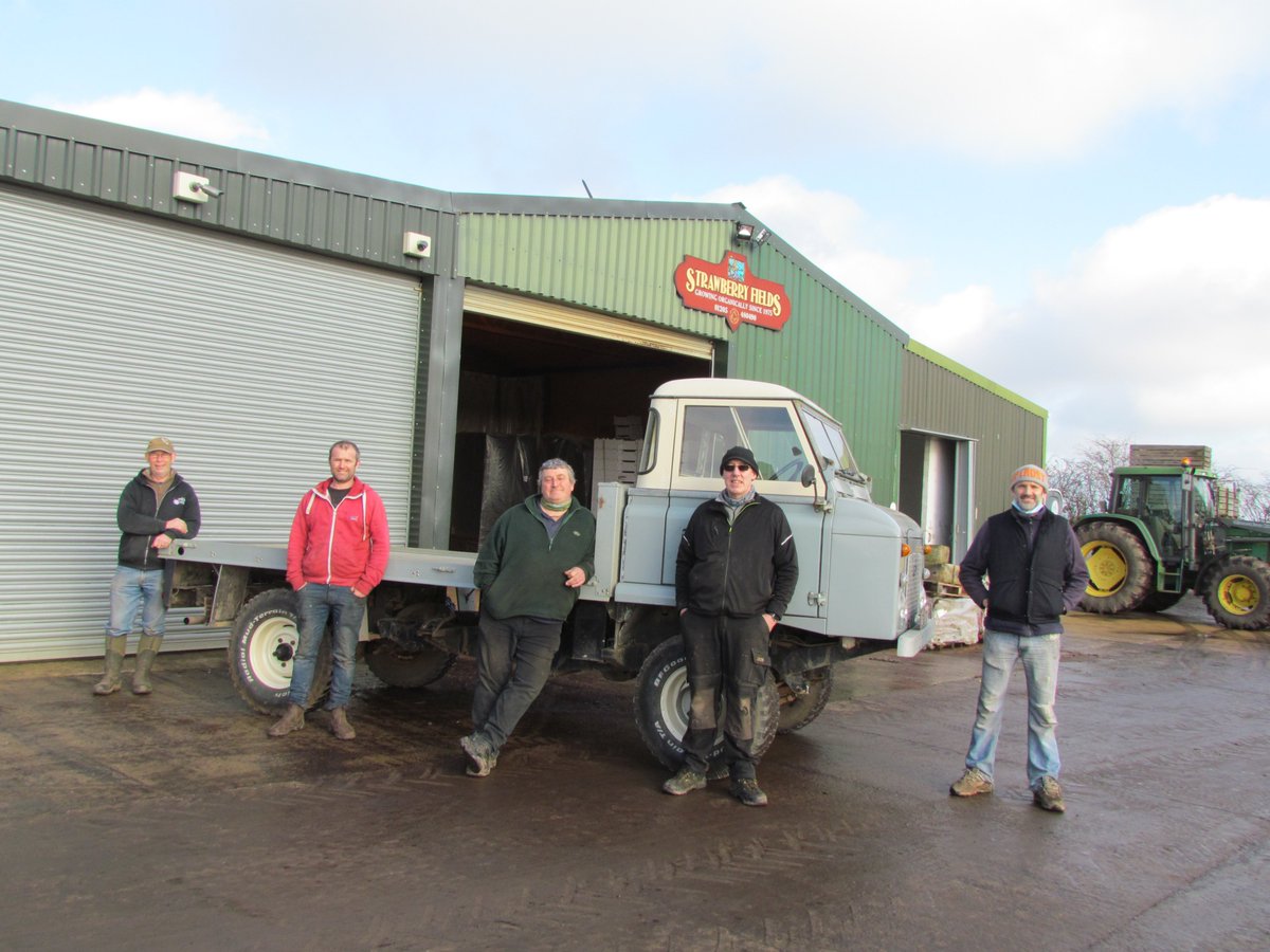 Strawberry Fields tweet media