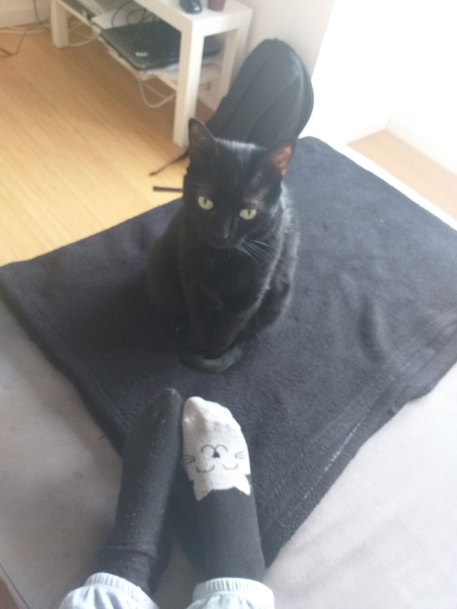 Giornata del calzino spaiato,
Aspetto di vedere le vostre foto...😉
#5febbraio #calzinospaiato