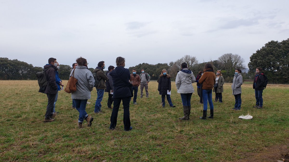 symcrau's tweet photo. Ce matin visite terrain avec @afacagrofo @SauvonsLeau &amp; porteurs des Paiements pour Services Environnementaux de @MaRegionSud &amp; @Occitanie
 au Domaine du Merle : comprendre et intégrer les spécificités des #haies méditerranéennes au #labelhaie imposé aux #agriculteurs dans #PSE https://t.co/jmGaM7peeV