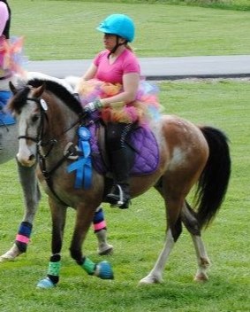 horseswork's tweet photo. Today's #KEEPTeam Feature is Laurie Mays -- Equine Talent Pipeline Project Manager for the @KyChamber and #KEEP! Laurie's role involves working statewide with employers, educators, and other equine stakeholders to develop and ensure a consistent, skilled labor pool. https://t.co/8ewbQmbPkB