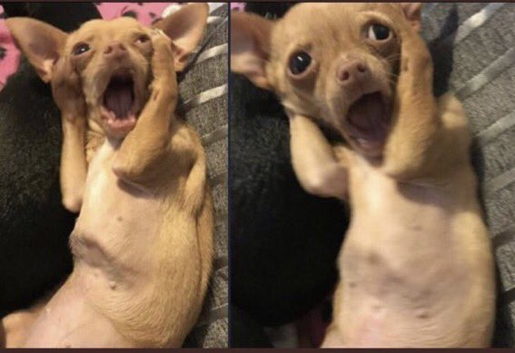 Başka bir evrendeki en güzel halinizi sikicem artık