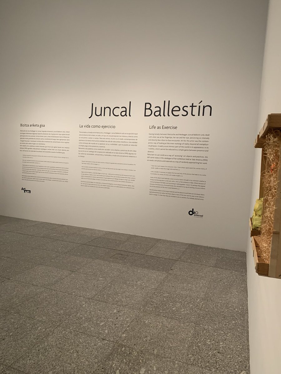 @artium_museoa #juncalballestín #errotulazioa #argazkimurala #vinilospersonalizados #vinilo #rotulacionmuseos #rotulosbidico