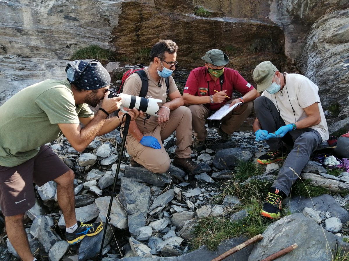 El #PN de #Ordesa y Monte Perdido recibe más de 600.000 visitas al año. Un grupo de 14 #AgentesProteccióndelaNaturaleza se ocupa de compatibilizar presencia humana y conservación de este espacio natural."Los ojos del parque", 12/Febrero ⏰18: 35h <a href="/la2_tve/">La 2</a> 
<a href="/aaffaragon/">AAPNA</a> <a href="/oapngob/">Parques Nacionales (OAPN)</a>