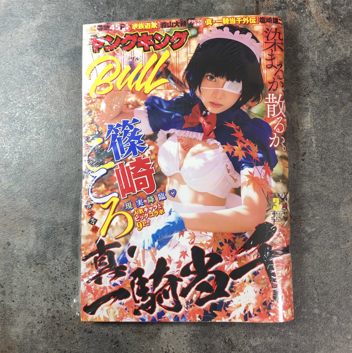 真 一騎当千 真 一騎当千