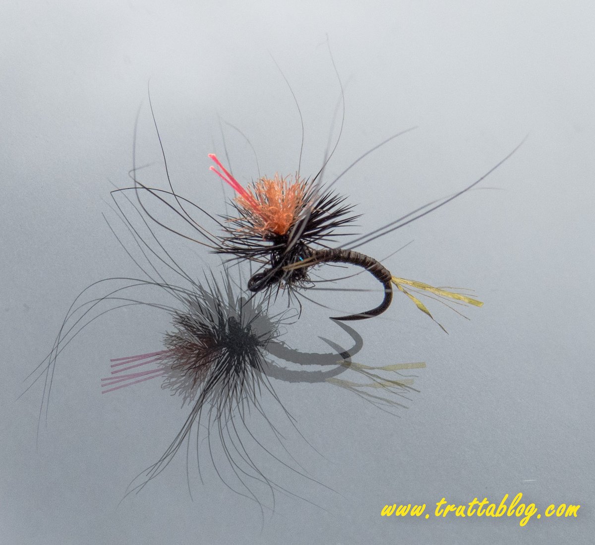 Truttablog's tweet photo. Growing spotter fibres to help the angler see it.
#FlyTying #DryFly #Truttablog https://t.co/l5zISFGAN3