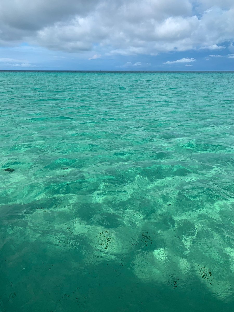 Fifty shades of blue ✨🤩 🇬🇦
