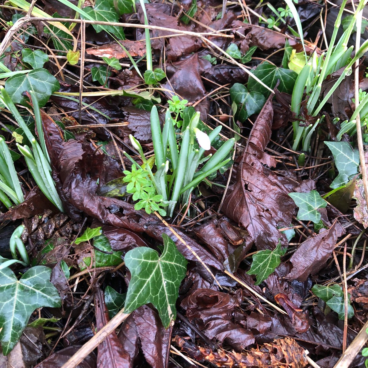 CoachConstruct's tweet image. First sign of Spring... ❤️