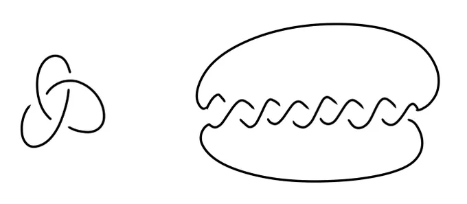 こういう図を迷いなくスラスラ描ける人は,結び目やってる可能性が高いと思います. 
