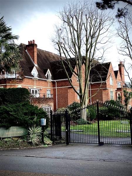 Here are a few photos from our Year 4 well-being walk yesterday.Students were asked to walk, relax, and take 2 photos. One of a living thing and another of a building or object. @KGS_Wellbeing  @KGSheadmaster