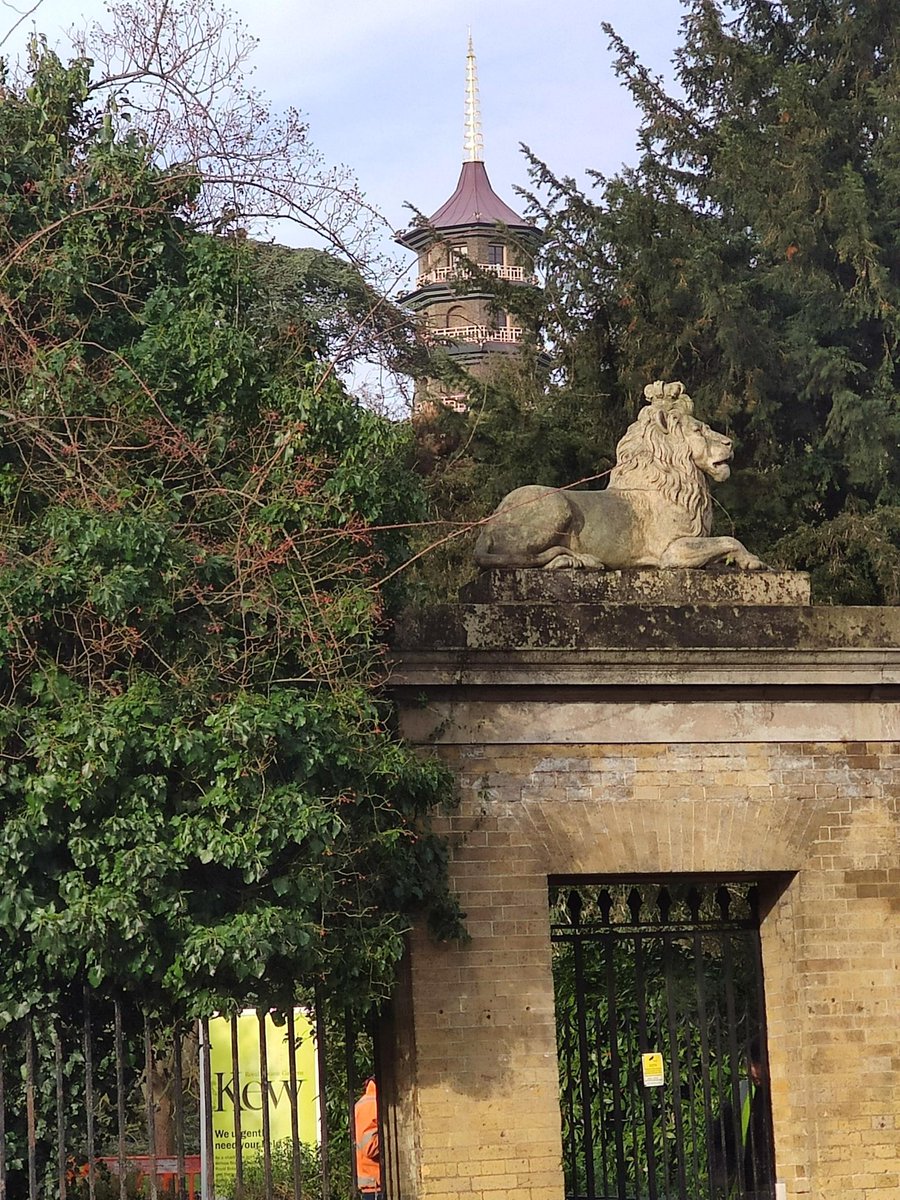 Here are a few photos from our Year 4 well-being walk yesterday.Students were asked to walk, relax, and take 2 photos. One of a living thing and another of a building or object. @KGS_Wellbeing  @KGSheadmaster