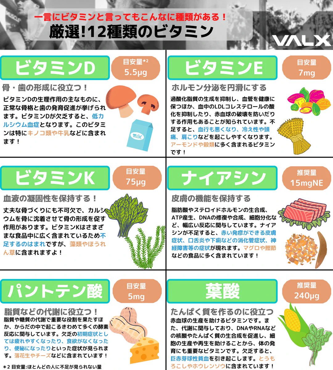 ビタミンと言っても種類は豊富！？12種類のビタミンについてのまとめ！