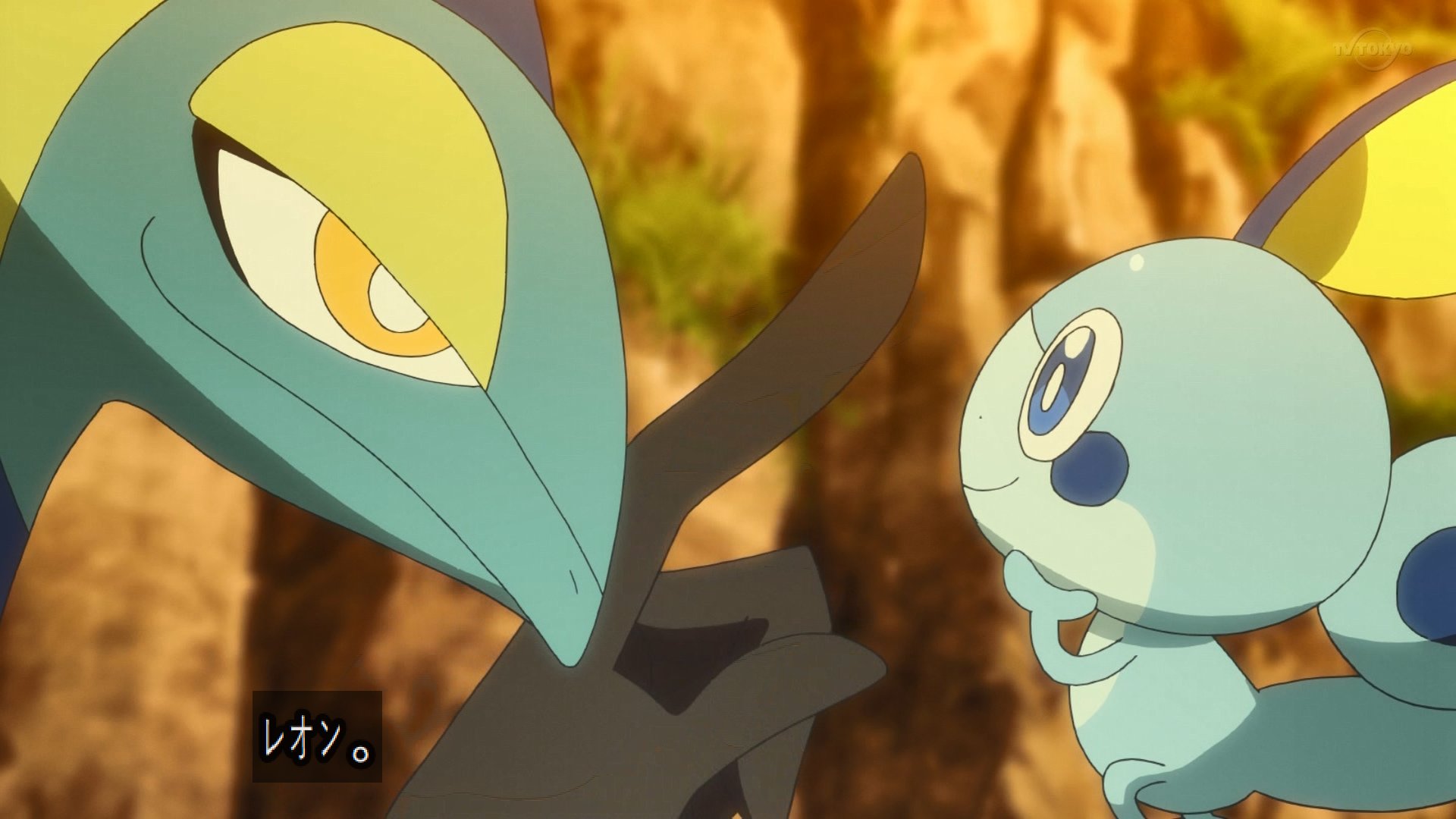 と ずん メッソンかわいい Anipoke Pokemon アニポケ T Co 4gfwswubhp Twitter