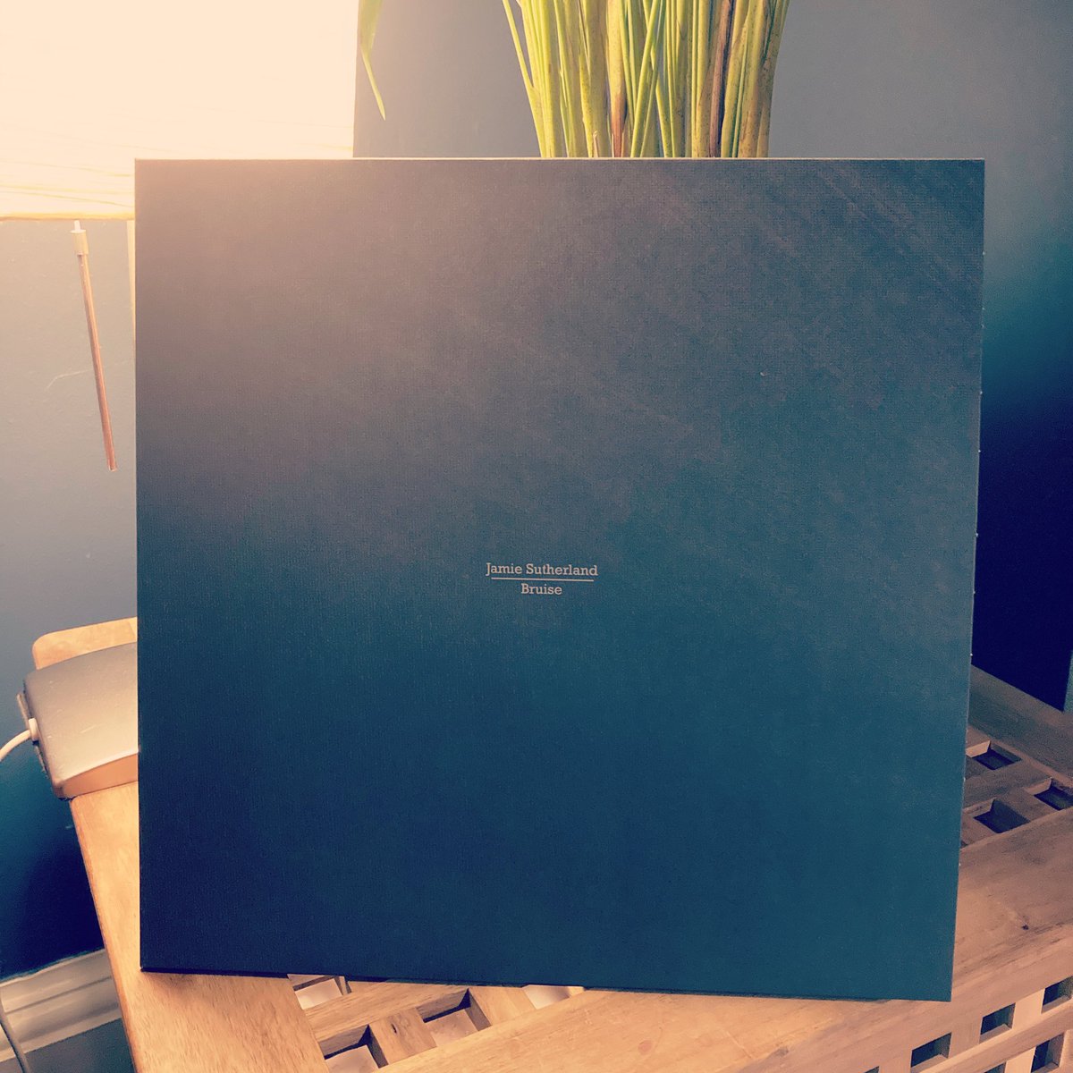 It’s ⁦<a href="/Bandcamp/">bandcamp</a>⁩ Friday and these wee beauties have arrived and are ready to ship! Pick up Bruise vet at my bandcamp page, jamiesutherlandmusic@bandcamp.com, available on vinyl and digital download!