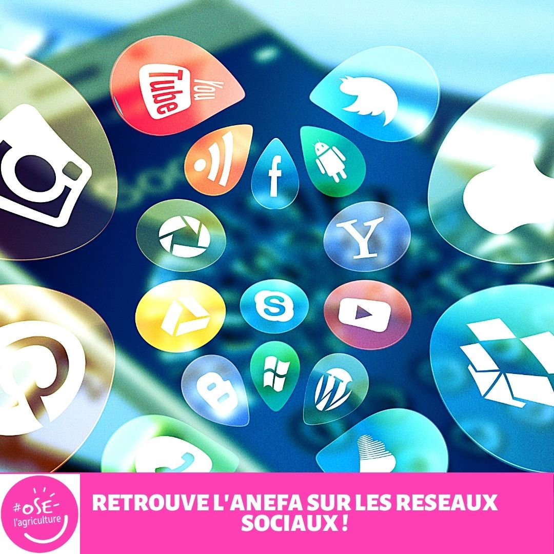 Connaitre  les actualités #métiers #formation #emploi en agriculture? Toutes les ANEFA en Nouvelle Aquitaine : Charente, Dordogne,Gironde,Landes,Limousin, Poitou Maritime,Pyrénées Atlantiques sont sur les réseaux sociaux. Rejoignez-les! Découvrez aussi leurs évènements