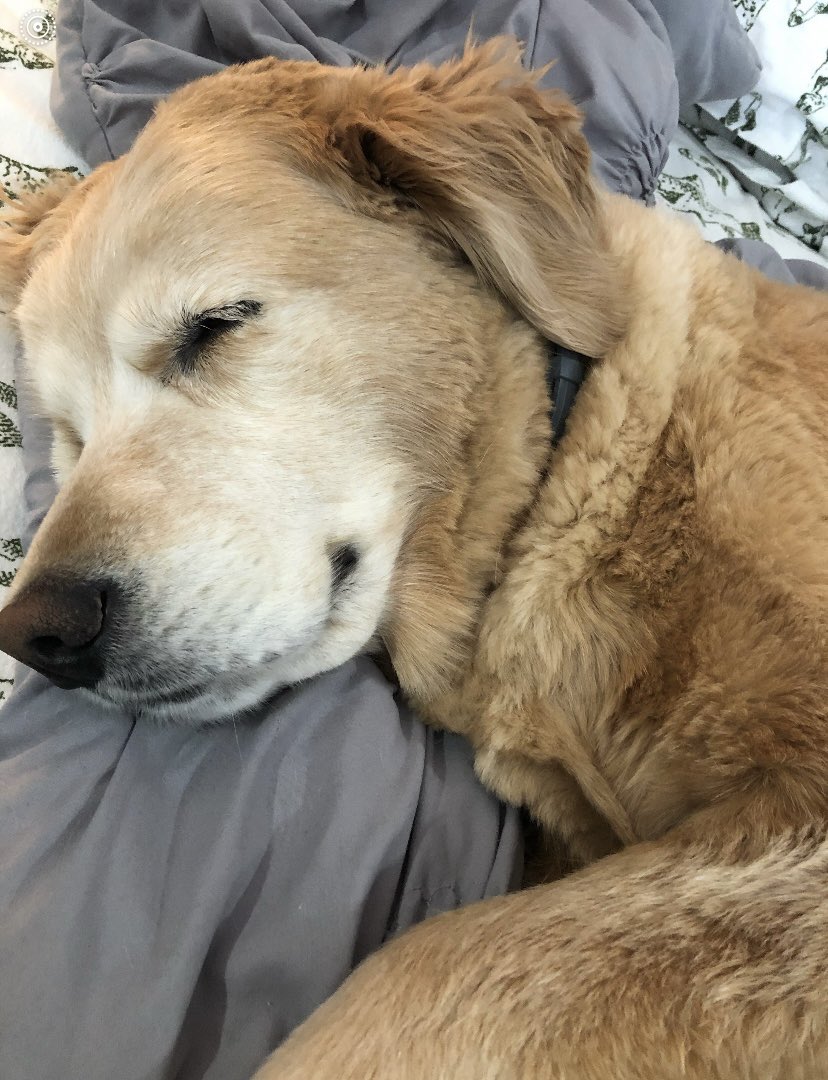 Adam Hartley, Ed.D. tweet media