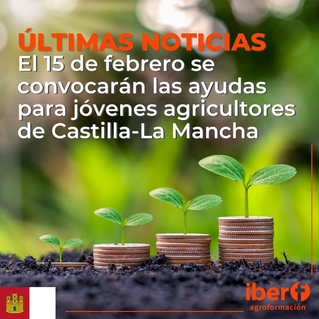 iberforma's tweet image. EL 𝟏𝟓 𝐃𝐄 𝐅𝐄𝐁𝐑𝐄𝐑𝐎 SE CONVOCAN LAS AYUDAS PARA JÓVENES AGRICULTORES DE CASTILLA-LA MANCHA |

50 millones de euros para la incorporación y otros 50 millones para la mejora de explotaciones.

🔗agro.iberf.es/castilla-la-ma…

#jóvenesagricultores #CastillaLaMancha #ayudasagrarias