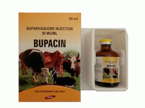 Intracinpharma's tweet image. #Bupacin - #Buparvaquone Injection bit.ly/3oPC2qD

#IntramuscularInjection into the neck muscles. It is active against both the schizont &amp;amp; piroplasm stage of Theileria spp., and may be used during the incubation period of the disease or when clinical signs are apparent.