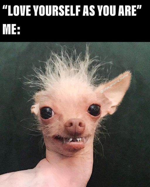 FRANKFMMAINE's tweet image. 