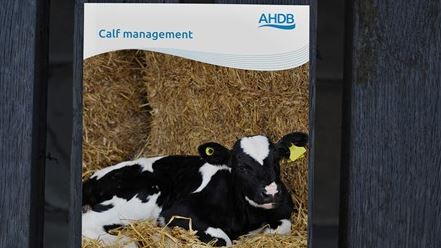 AHDB Dairy tweet media