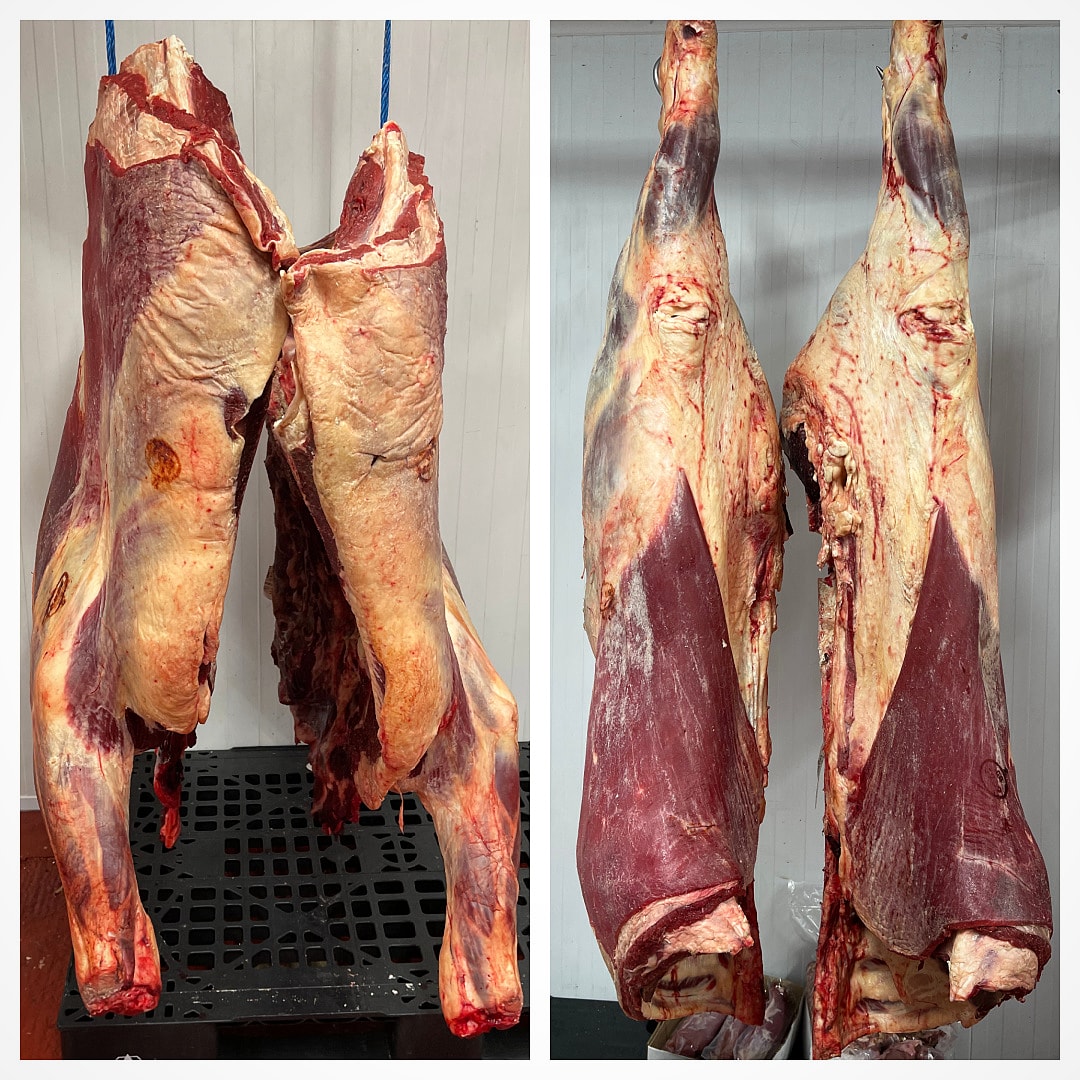 We are very pleased to announce that we took in a whole body of beef in from <a href="/deersbrookfarm/">Deersbrook Farm</a> yesterday, and we'll be talking about it in depth, as we dry age and mature the beef on the bone over the next 28 days.