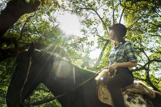 #Turismo El impacto económico de la actividad turística durante #enero fue casi de $1000 millones. "Venimos trabajando con el sector privado desde el inicio de la pandemia y ahora estamos viendo frutos de un plan estratégico” <a href="/mepsalta/">#MarioErnestoPeña</a>

Leer más👉 bit.ly/3oZqdOV
