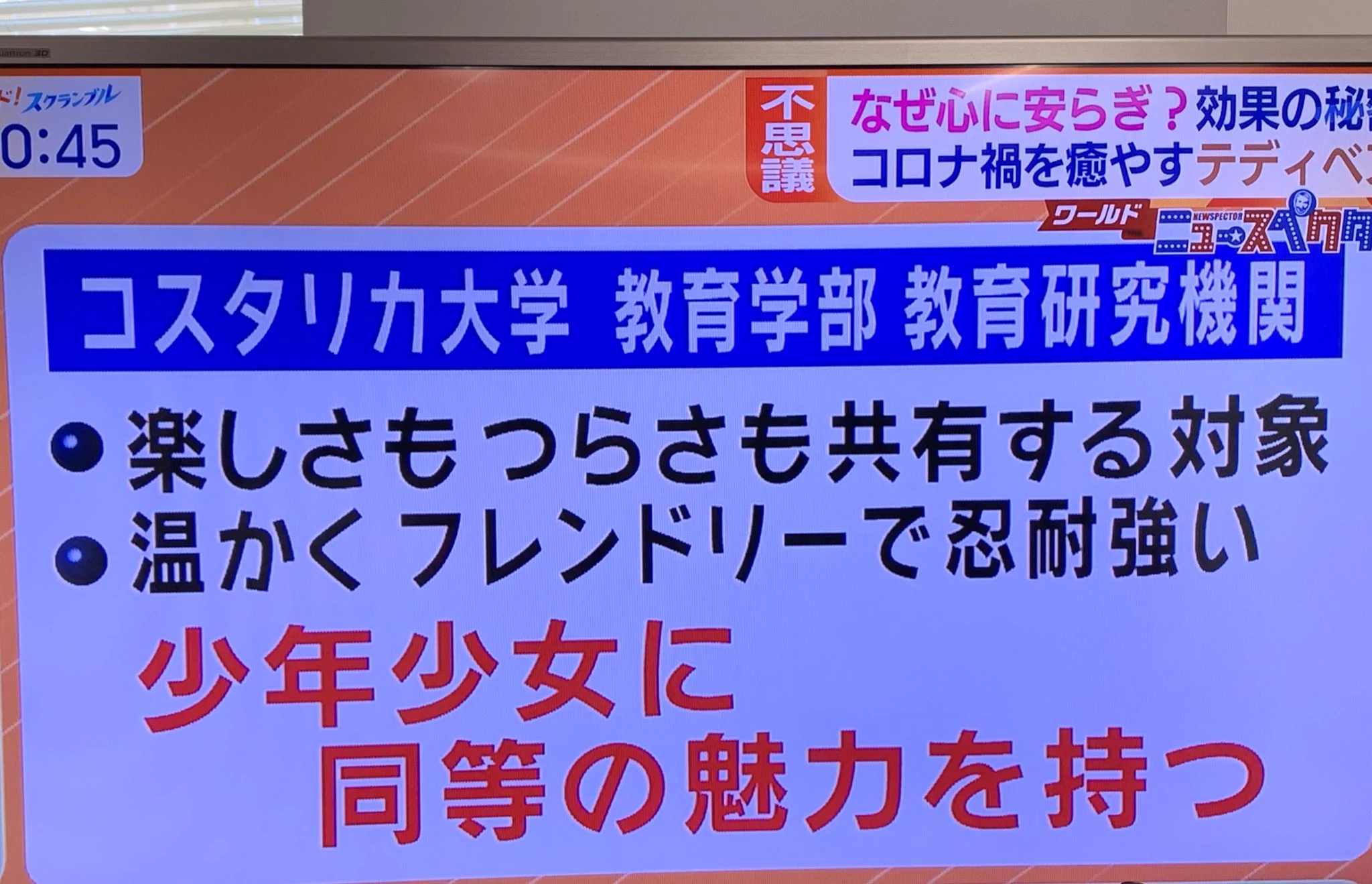 「テディベア」を抱いて寝る人が急増中？！不安な夜を紛らわしてくれる