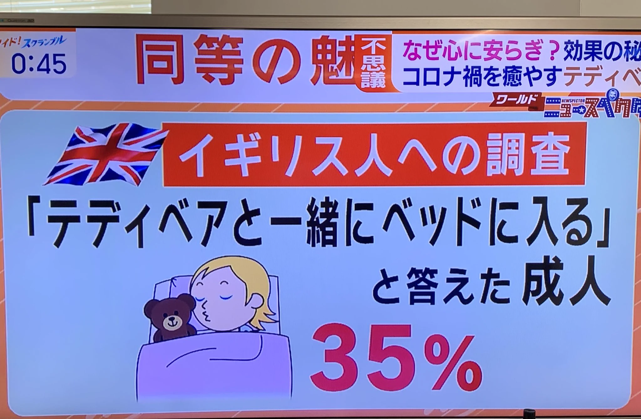 「テディベア」を抱いて寝る人が急増中？！不安な夜を紛らわしてくれる
