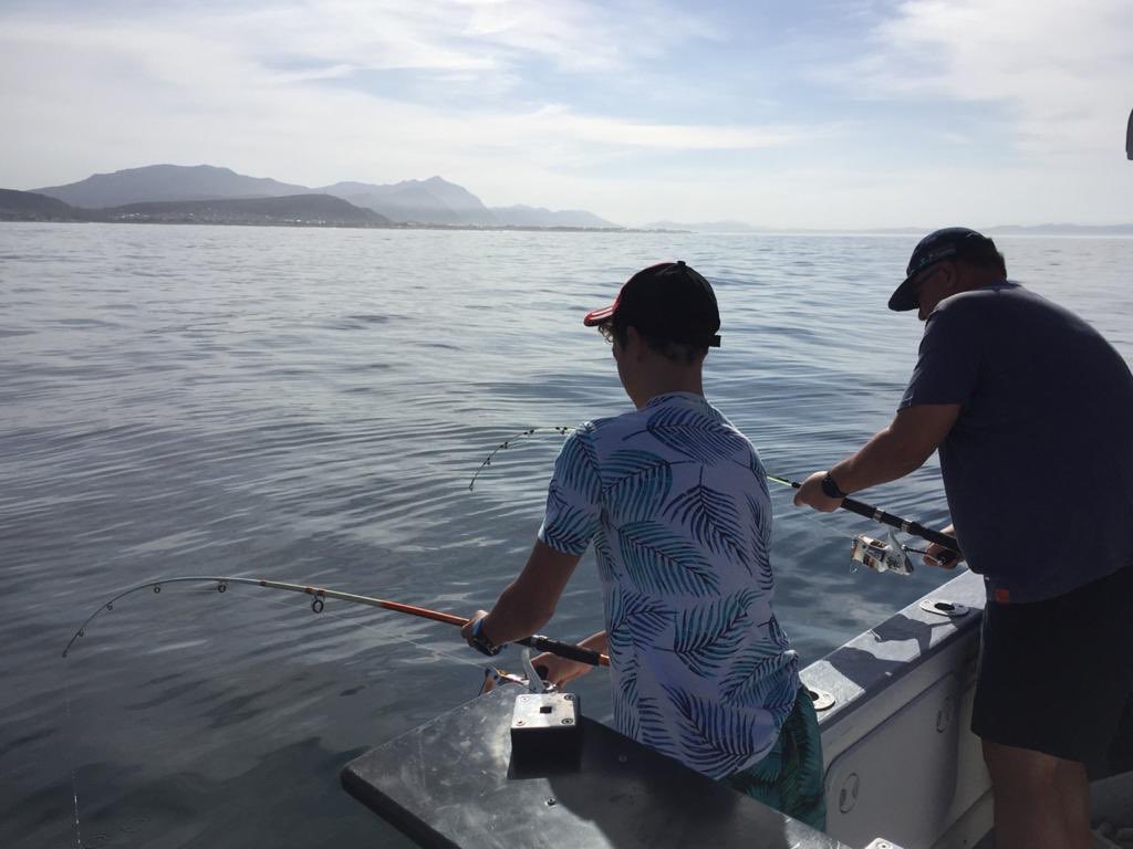 SarahTaylor/BeeBalmy tweet media