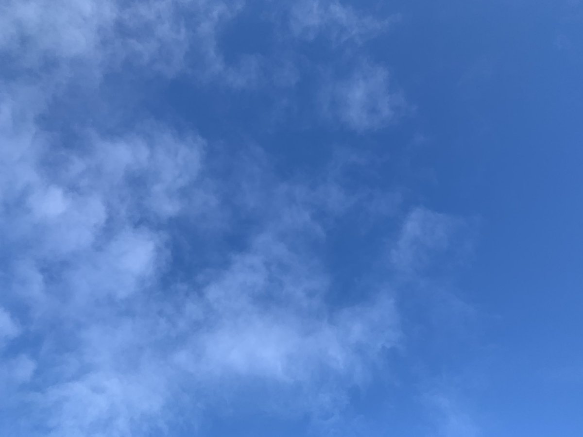 But we now have blue skies. And I found a tiny (rather poorly focused) hazel flower. Some of the hazel buds are beginning to unfurl. Spring will arrive.