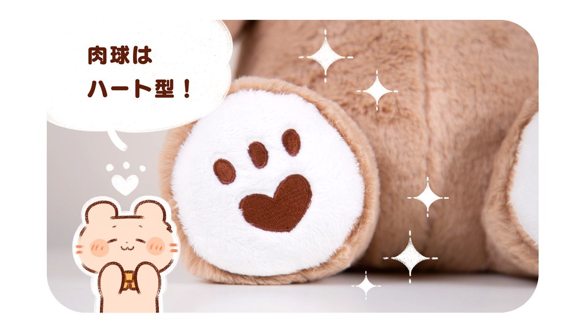 くまちゃんのかわいいポイントをご紹介? 