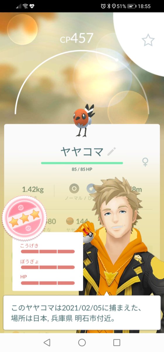ポケモンgo大好き ポケモン部 ポケ活 アメ活とジム活に燃える ポケモンgo Pokemongo Pokemongobuddy やった 2kmタマゴで個体値満点のヤヤコマをゲット 早速 ヒノヤコマ ファイアローに進化 ポケモンgo大好き ポケモン部 ポケ活 アメ活とジム活に燃える ポケモンgo Pokemongo Pokemongobuddy やった 2kmタマゴで個体値満点のヤヤコマをゲット 早速 ヒノヤコマ ファイアローに進化