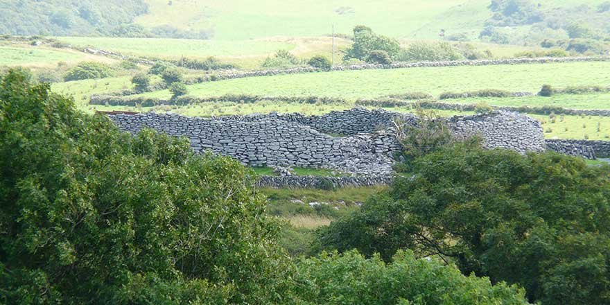 Royal Irish Academy tweet media