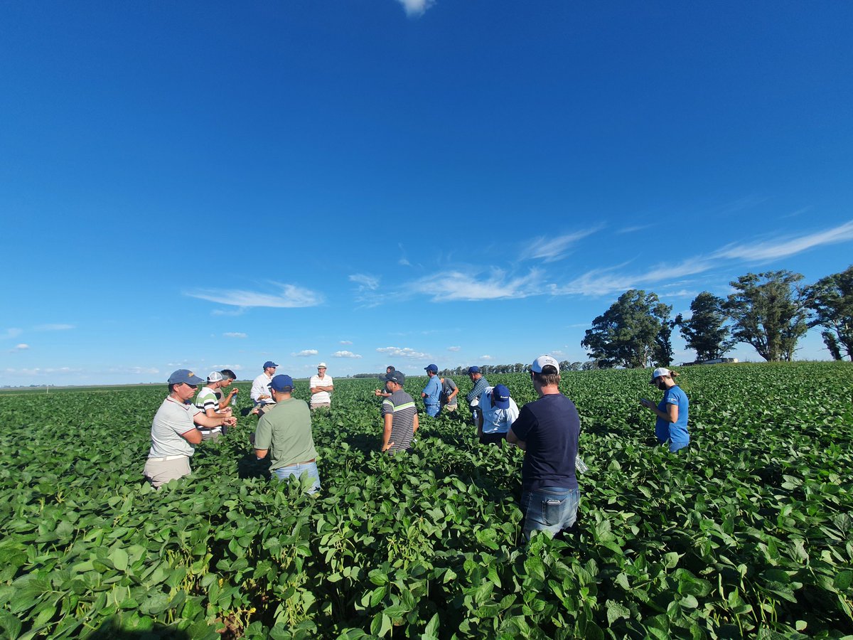 ferni_lavin7's tweet photo. Reconocimiento y manejo de  enfermedades en #Soja y #Maiz junto a productores de Canals (Cba) y la zona.

Gracias @Syngenta_ar y #TinodeRossi por los grandes aportes. 

@AGDagro
@EduardoCasado16 
@Syngenta 
@fsolabrignone https://t.co/AcDK0Rcu65