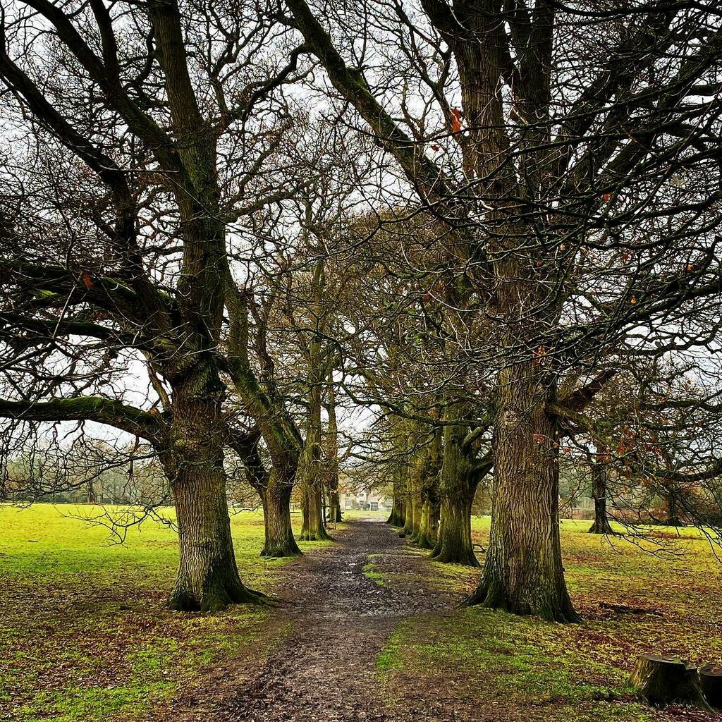 adp40's tweet photo. The Welly Walk #packwoodhouse #nationaltrust https://t.co/4MoFkCy2ls https://t.co/Vqy6rrjLu5