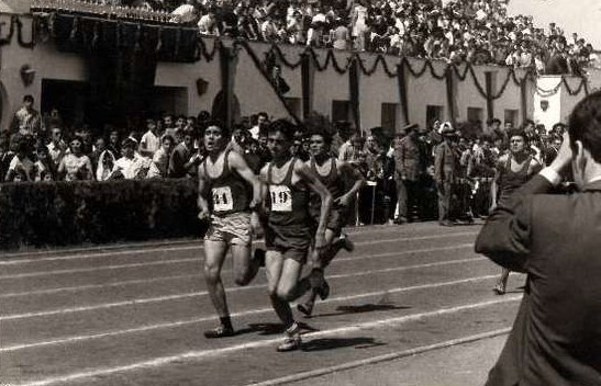 ArchivoUpo's tweet photo. Historia del #CampusUPO (4): El #deporte tuvo una gran importancia en la vida de la #UniversidadLaboral

Nuestro campus es inigualable para la práctica deportiva y la promoción de los hábitos saludables
➡️https://t.co/2Cuid0JFwb

(Fondo del #Archivo General @pablodeolavide) https://t.co/usizCcOG3l