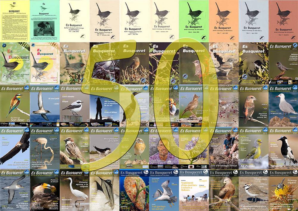 GOBMallorca's tweet photo. 🥳 Estem de celebració: #EsBusqueret arriba als 50 números! 

📖 Aquest nou número el protagonitzen xorics, odonats, aucells rars, trencapinyons, botànica balear i molt més!

👏🏻 Gràcies a tots els que el feis possible, Es Busqueret és vostre! Gaudiu-lo: https://t.co/5hKaZs4Btt https://t.co/dHuPo9vu7U