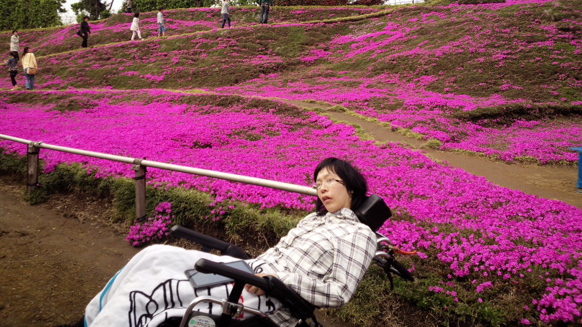 AOJUN_HDJ's tweet photo. As the night goes on, I remember the place where I traveled with my wife and look at the pictures.

#HD #HDJapan #HuntingtonDisease https://t.co/iXIqBOW1en
