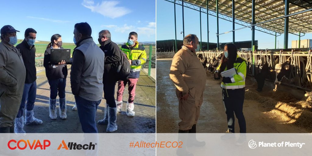 Alltech Spain tweet media